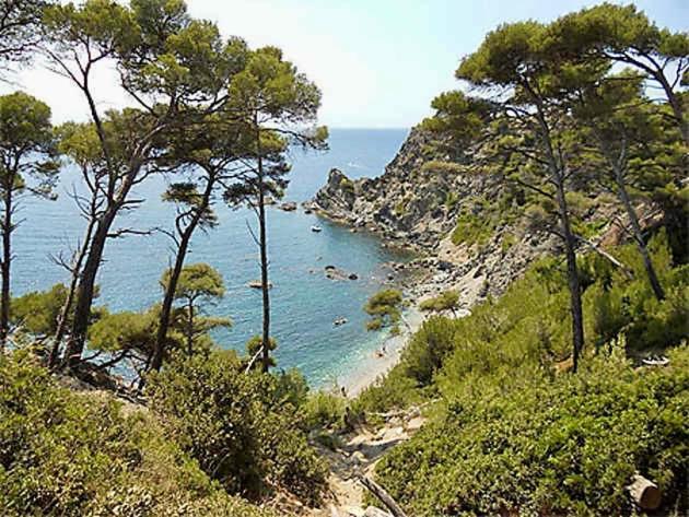 La Fincazur! Proche Plages Six-Fours-les-Plages Exterior photo